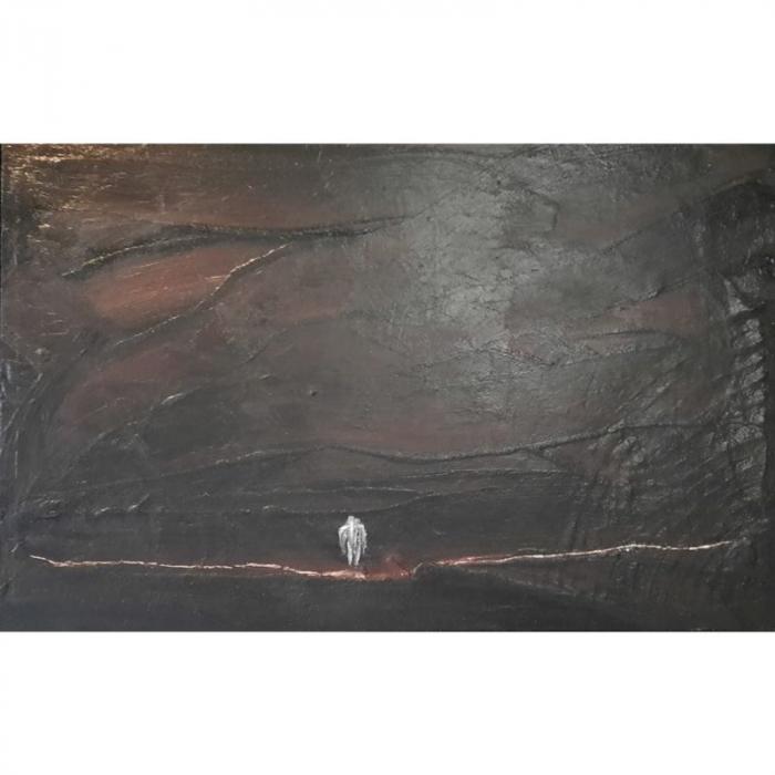 Il solitario