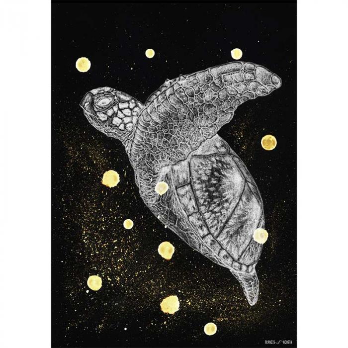 Galactic Sea Turtle