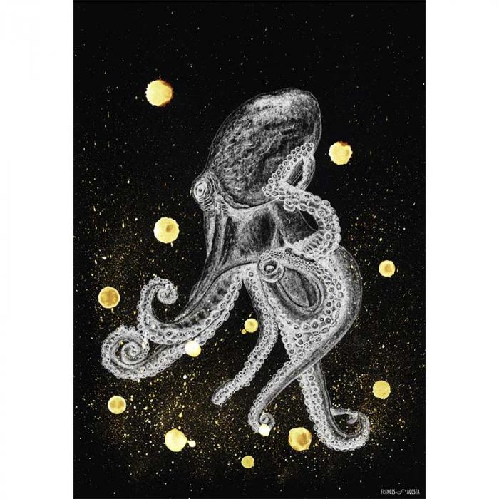 Galactic Octopus