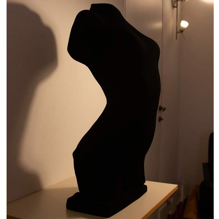 Darkest torso of young woman