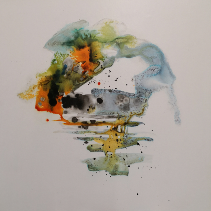 Il ciclo dell'acqua