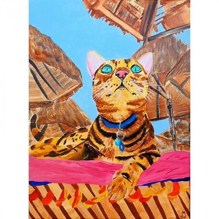 Cat in Kenya