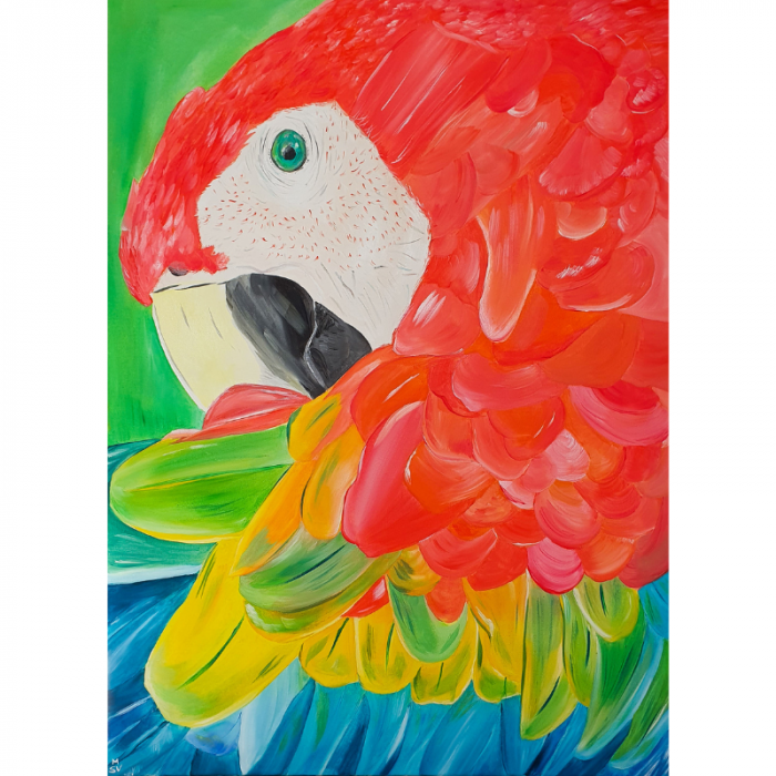 Red Parrot