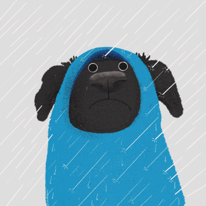 Rainy Days
