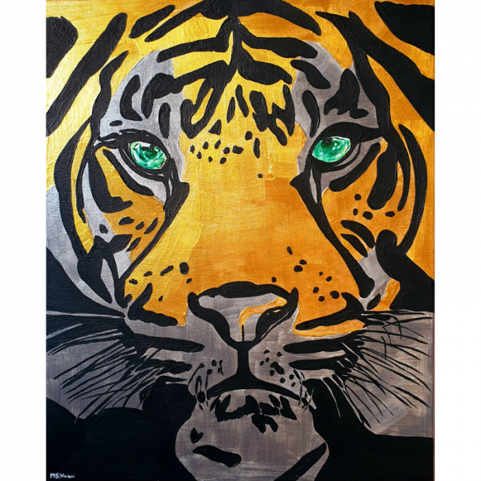 Sguardo di tigre