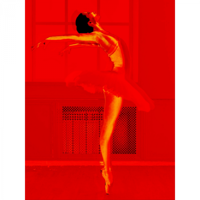 The Grace