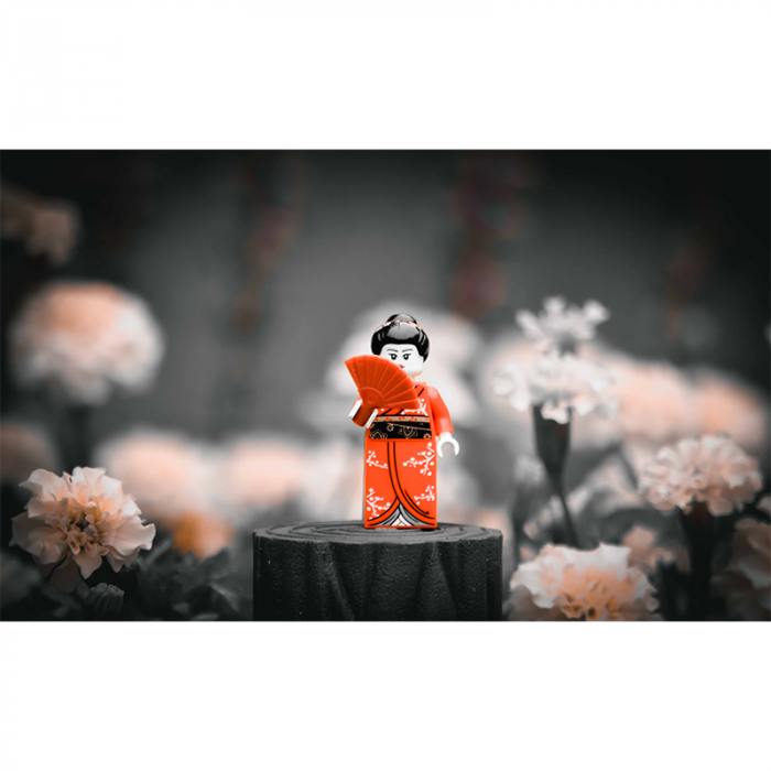 Geisha