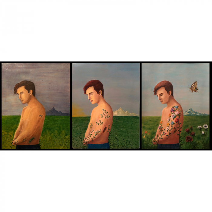 Metamorphosys