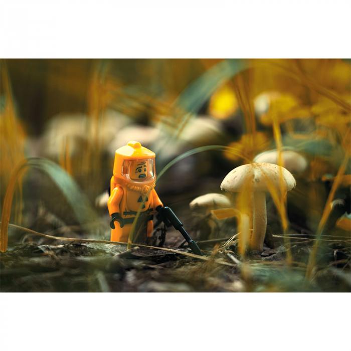 Funghi