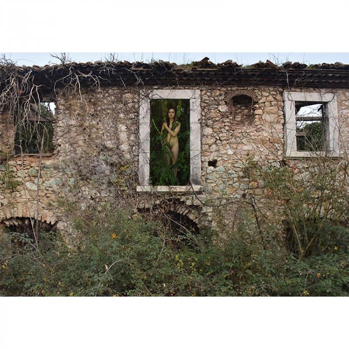 Resilienza 3