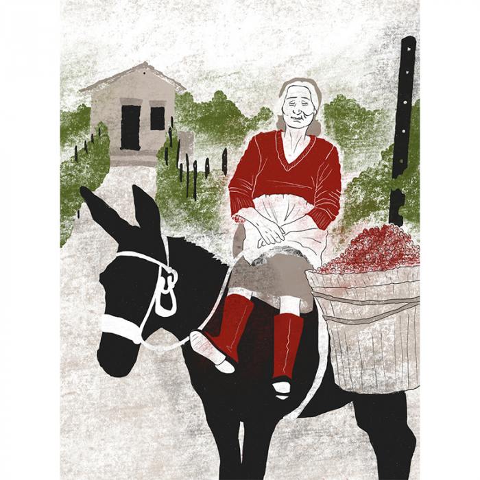 Storie di vendemmia - Il famiglia