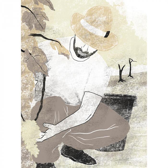 Storie di vendemmia - La raccolta
