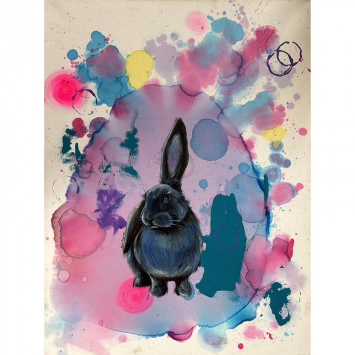 Chasing rabbit