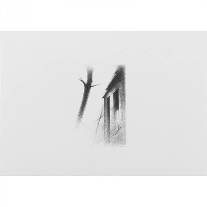 L'albero volante