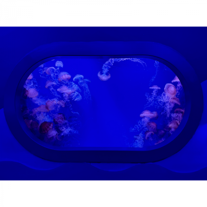 Libertà nel blu