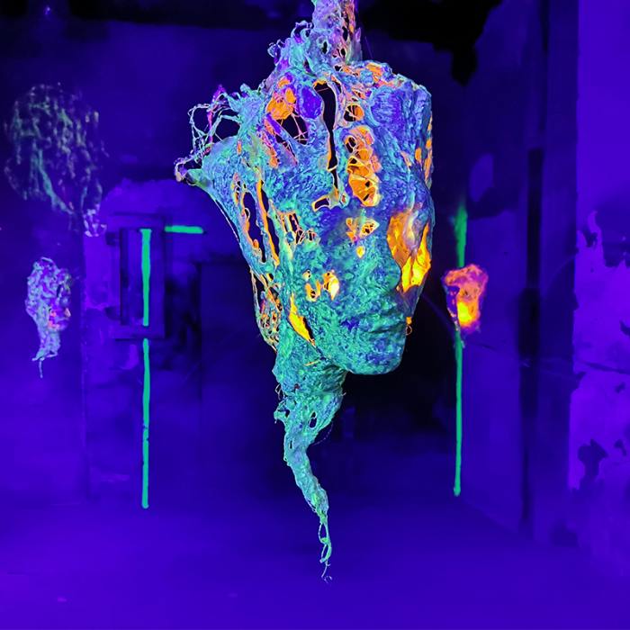 Metamorphosis_