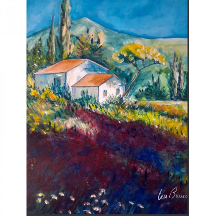 Case di montagna