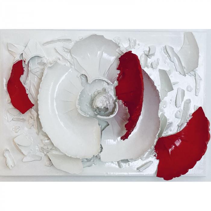 Red Poppy