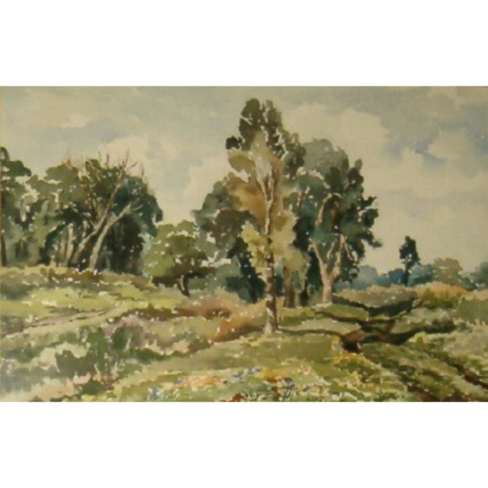 Arbusti