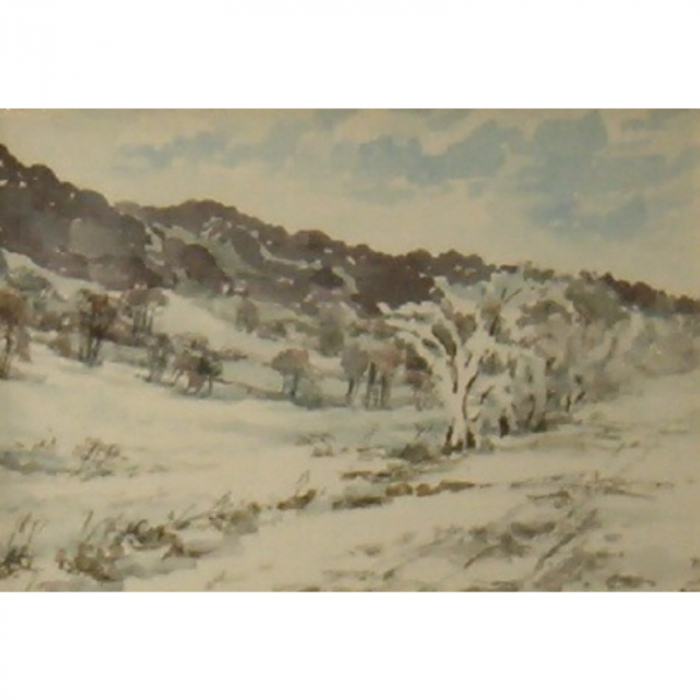 Neve in pianura