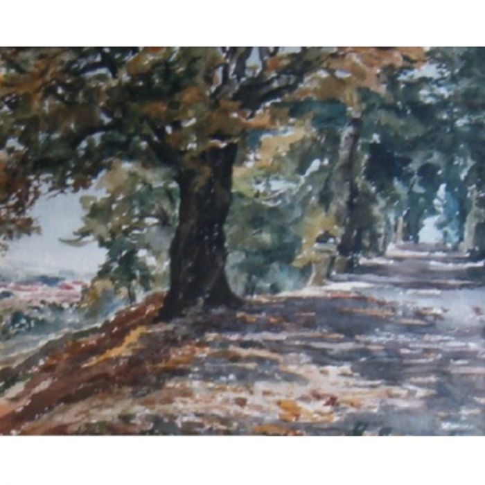 Oltre la collina