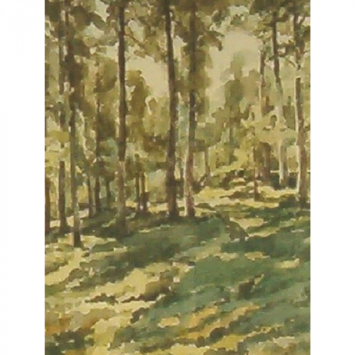 Pioggia di sole