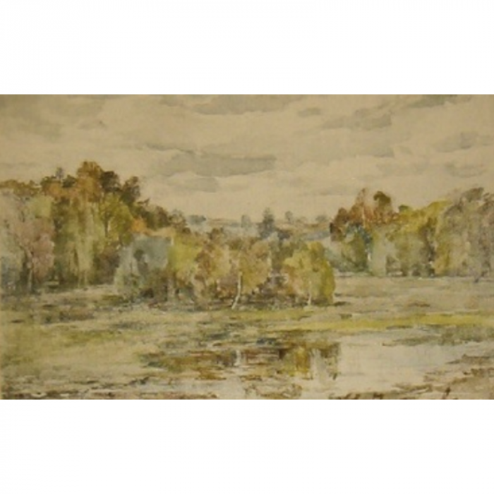 Riflessi dorati