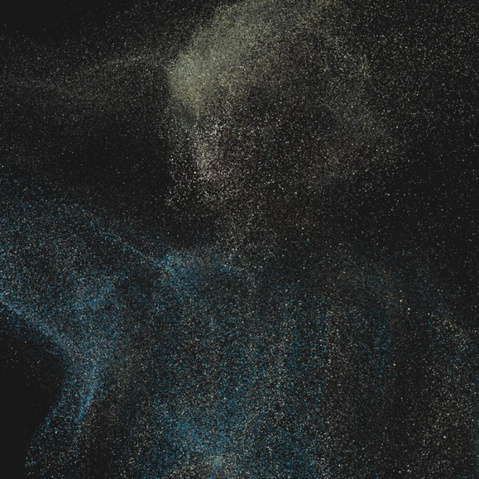 Shifting Selves - immagine 2