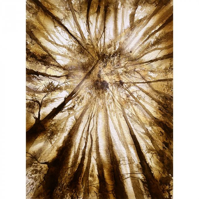 Brown Vertigo