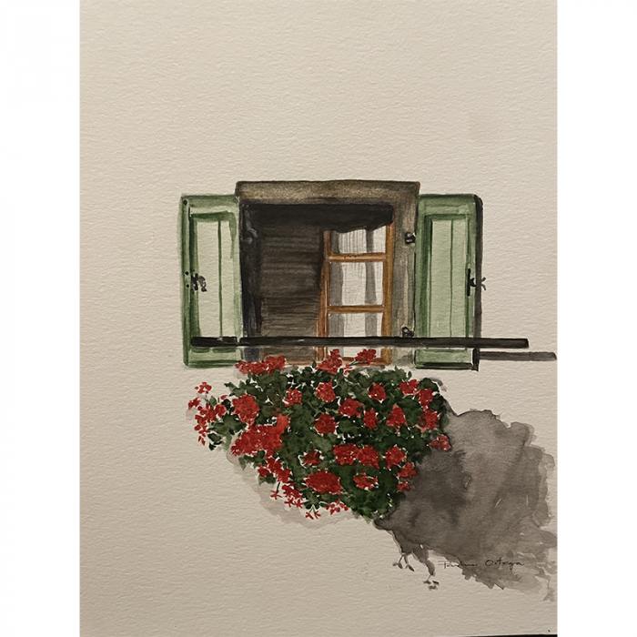 Attraverso la mia finestra