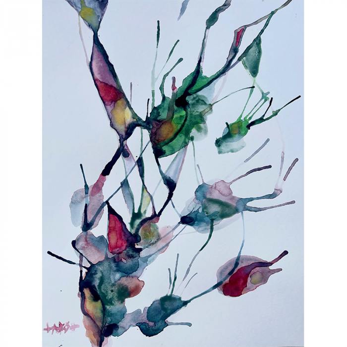 Fiori e Forme
