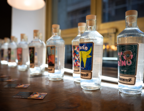 Call for Artist: Artàporter e Distillerie Subalpine celebrano l’arte e la creatività con la terza edizione del contest Turin Dry Gin