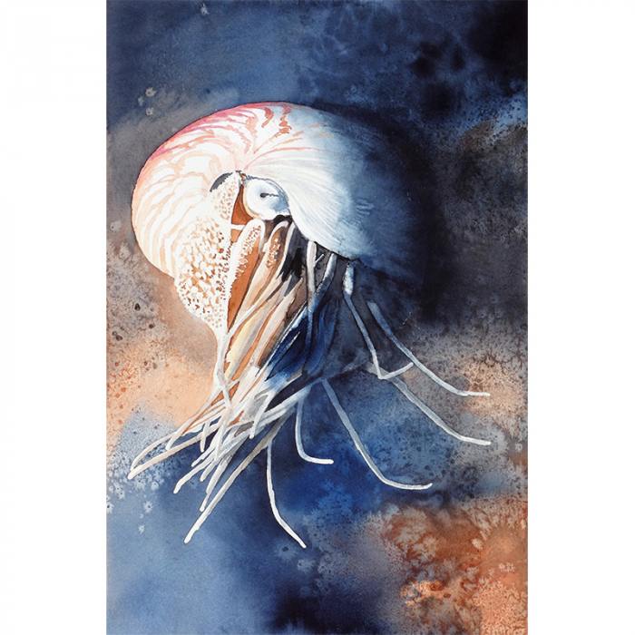 NAUTILUS