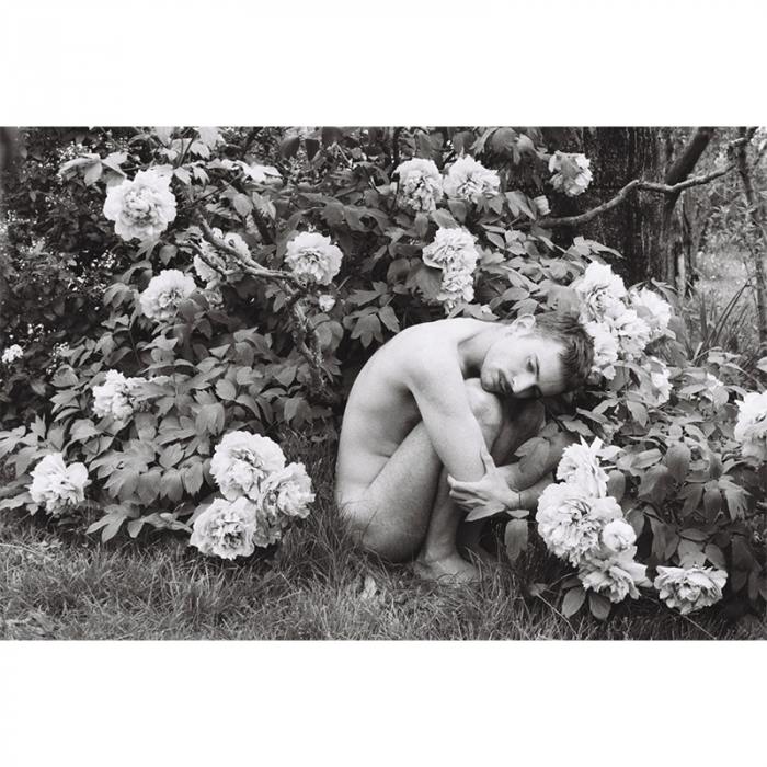 Peonie