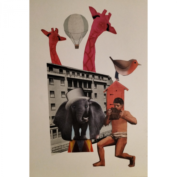 Circus in Town