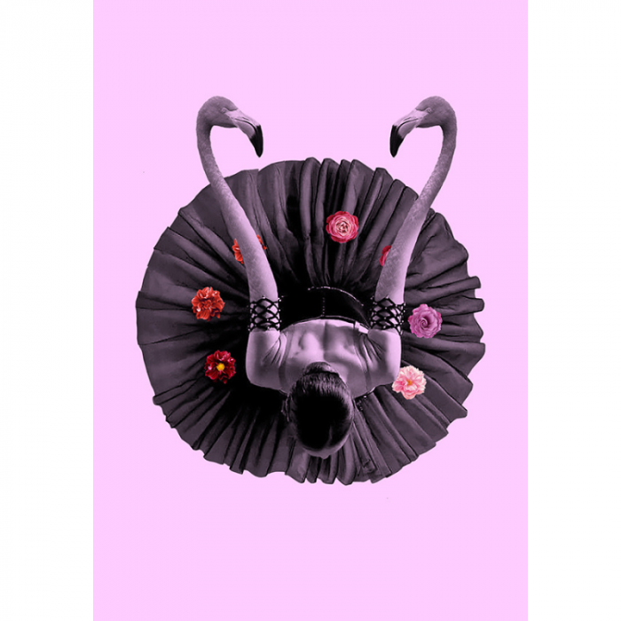 Flamingos