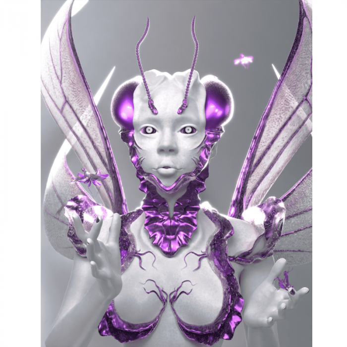 Orchidea