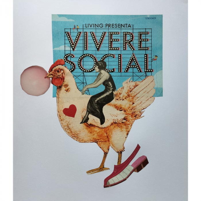 Vivere social