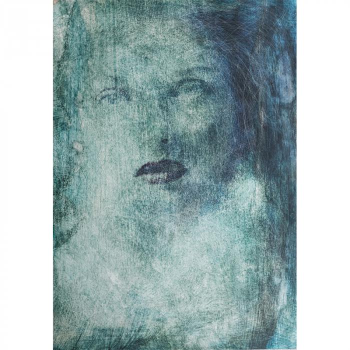 The Beauty and the Bane 16