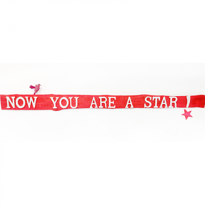 Now you are a star!
