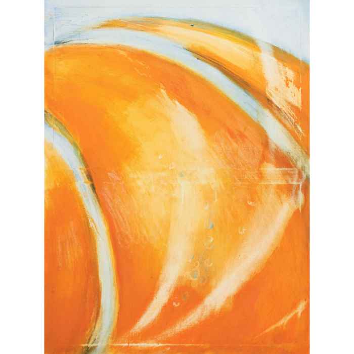 Kürbis / Pumpkin Energy