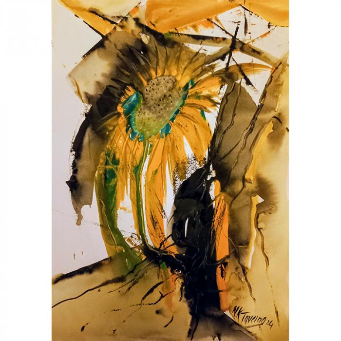 Girasoli