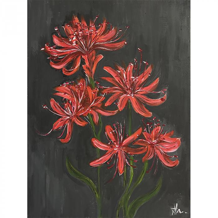 Lycoris Radiata
