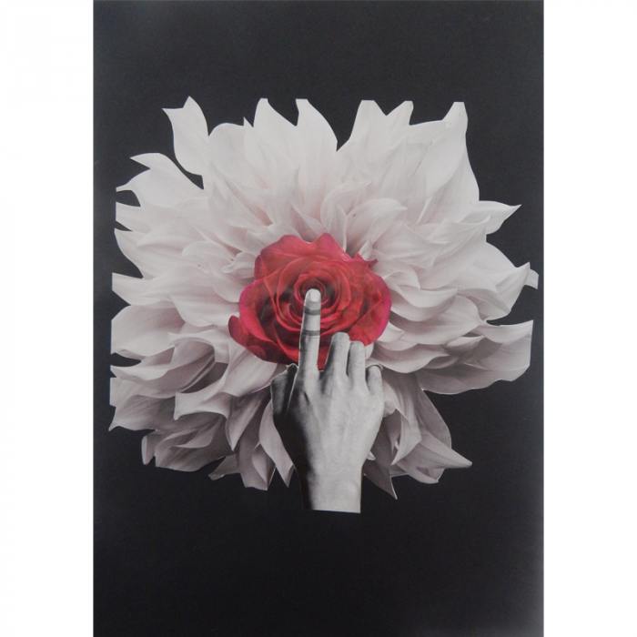 La mano e la rosa