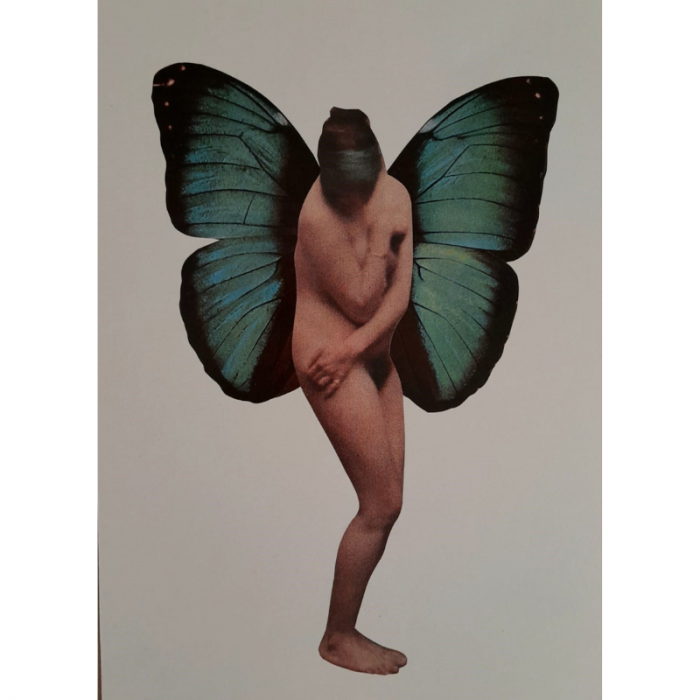 Metamorphosis