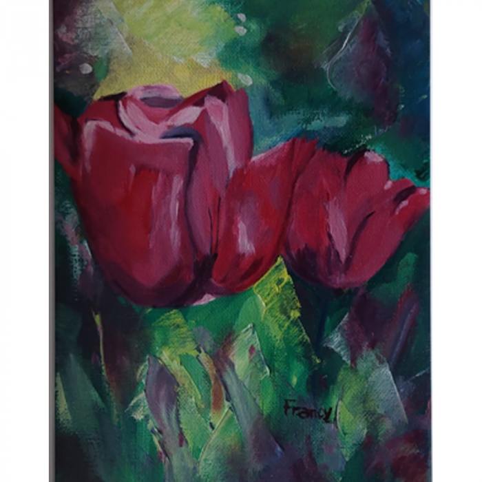 Tulipani Rosa