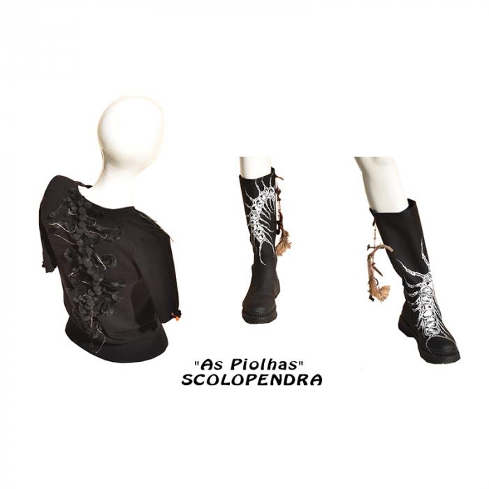 Scolopendra
