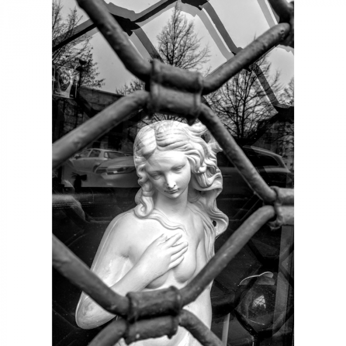 Venere urbana