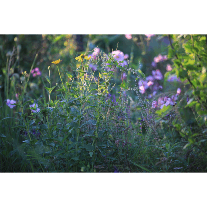 A Mumbled Moment