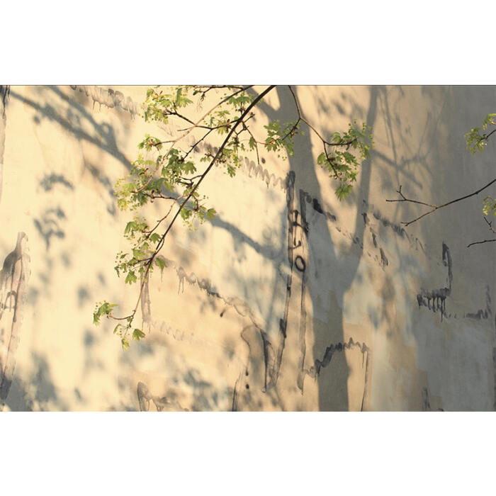 Surface Stories, Shadow Play